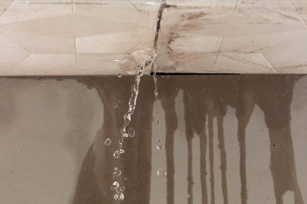 Professional Water Damage Inspection technician working in Tremont City, OH
